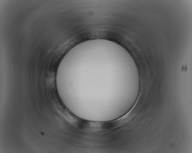 X0000090740144200708031554