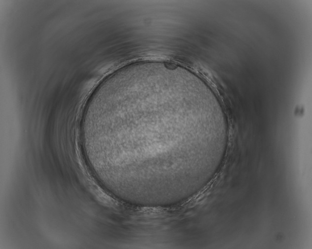 X0000090740145200708031553