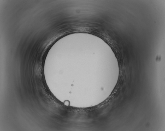 X0000090740146200708031553