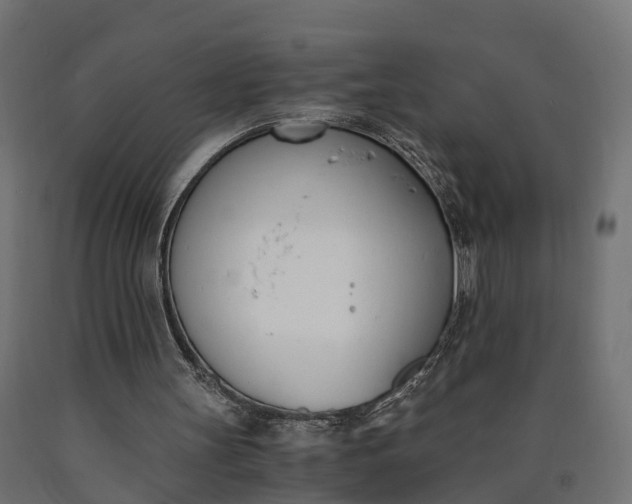 X0000090740147200708031553