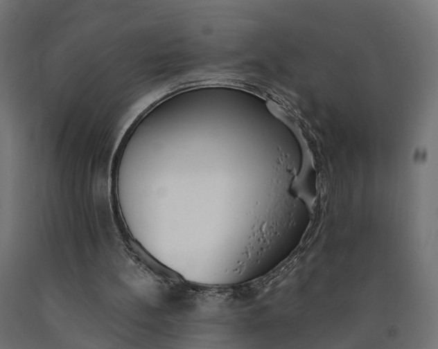 X0000090740148200708031553