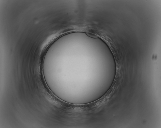 X0000090740149200708031553