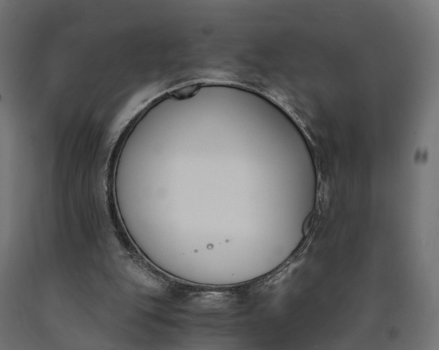 X0000090740151200708031553