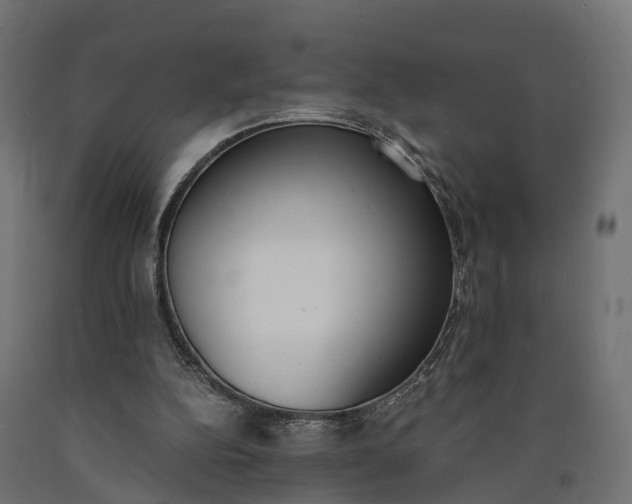 X0000090740152200708031553