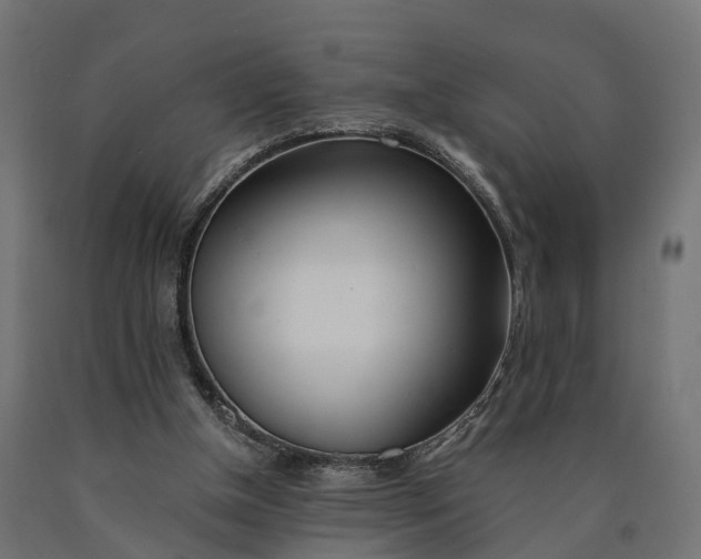 X0000090740154200708031553