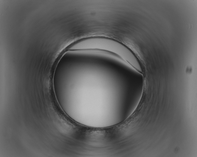 X0000090740156200708031553