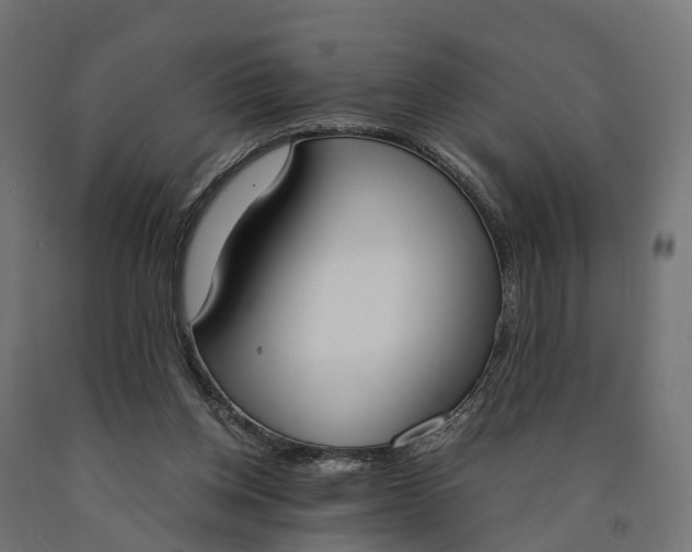 X0000090740158200708031553