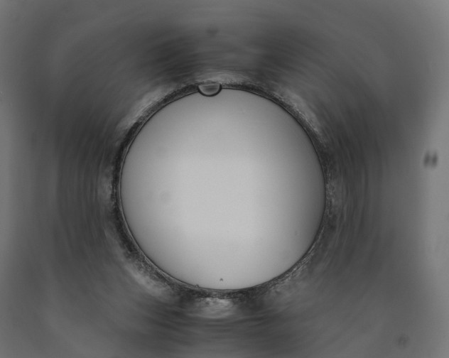 X0000090740159200708031553