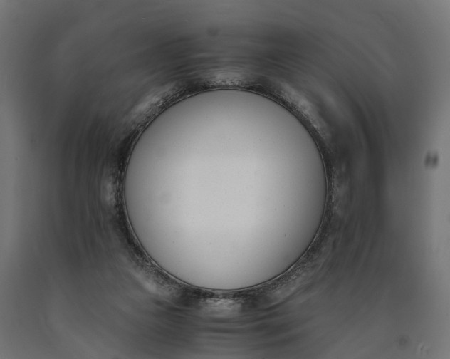 X0000090740161200708031553