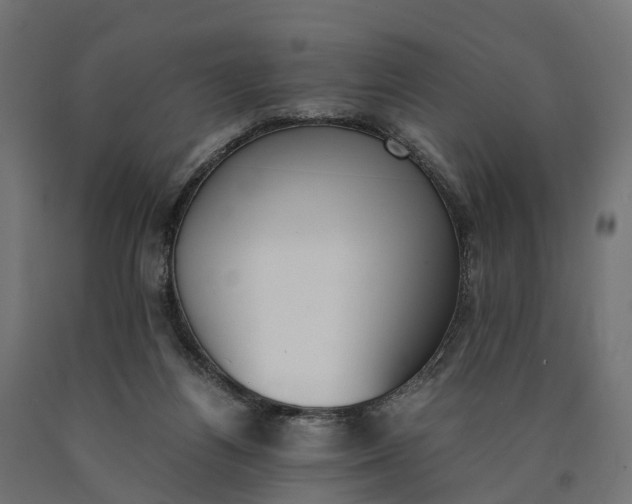 X0000090740164200708031553