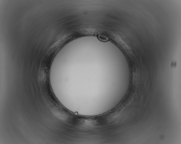 X0000090740165200708031553