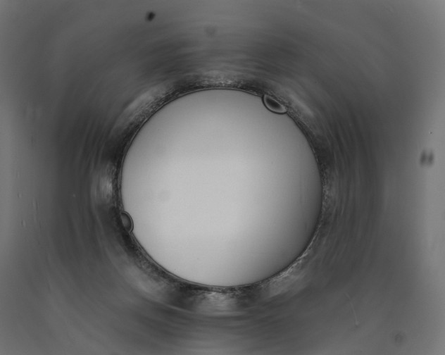 X0000090740166200708031553