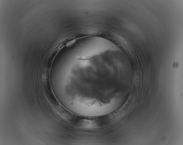 X0000090740167200708031553