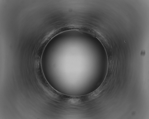 X0000090740168200708031553