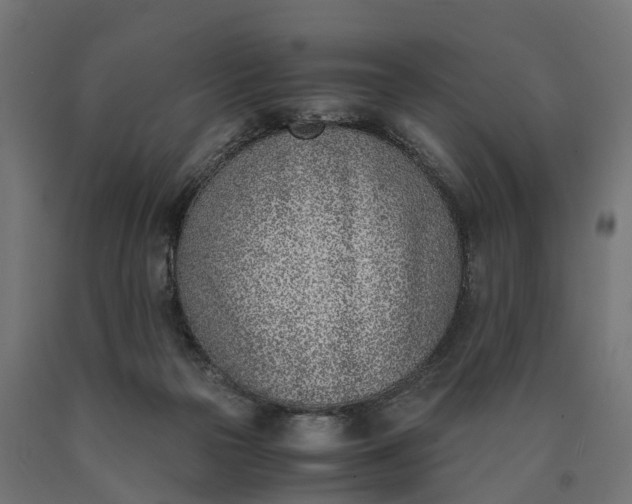 X0000090740169200708031553