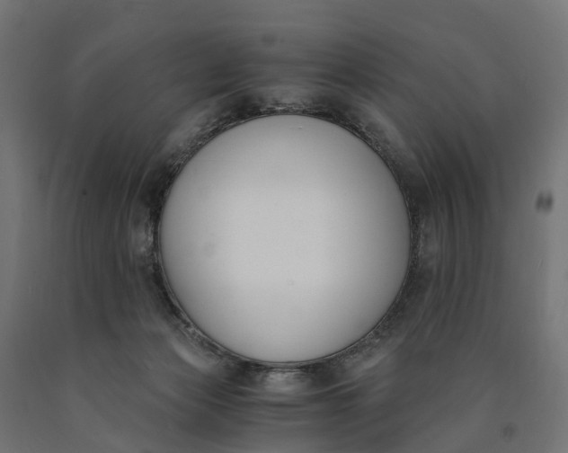 X0000090740173200708031553