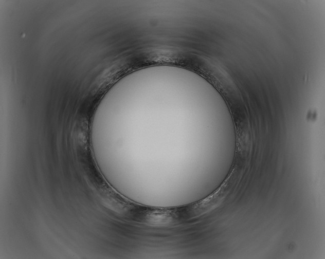 X0000090740175200708031553