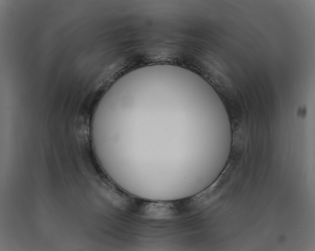 X0000090740179200708031553