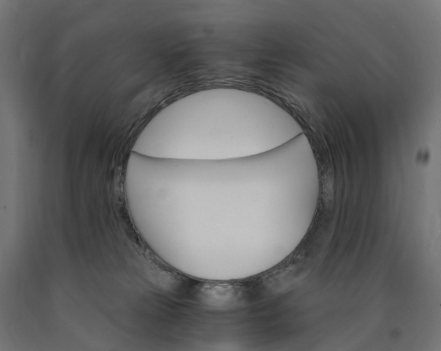 X0000090740181200708031553