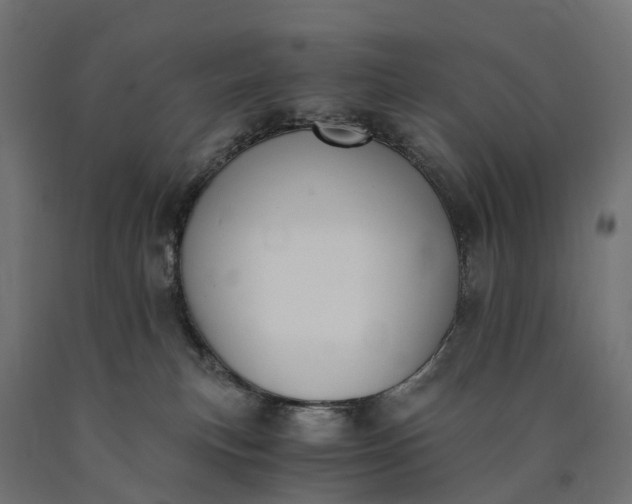 X0000090740183200708031553