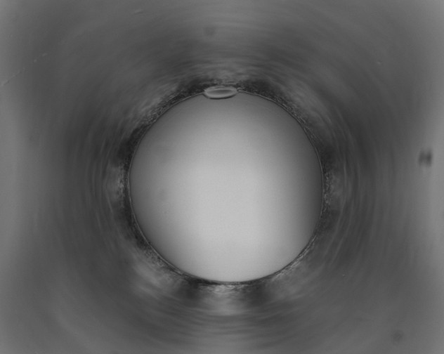 X0000090740184200708031553