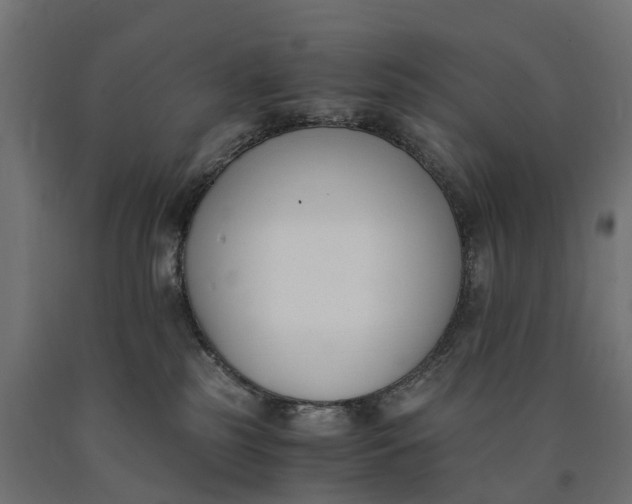 X0000090740185200708031553