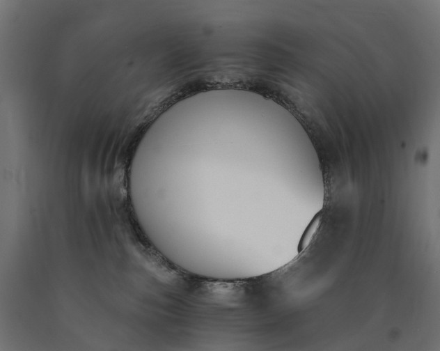 X0000090740187200708031553