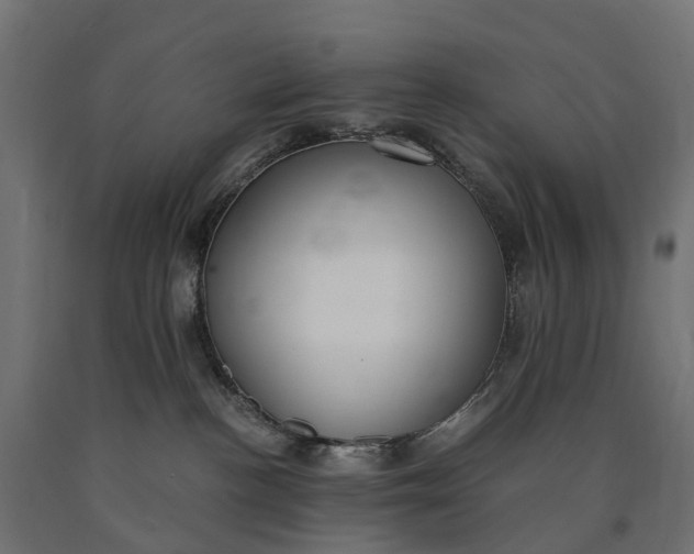 X0000090740188200708031554