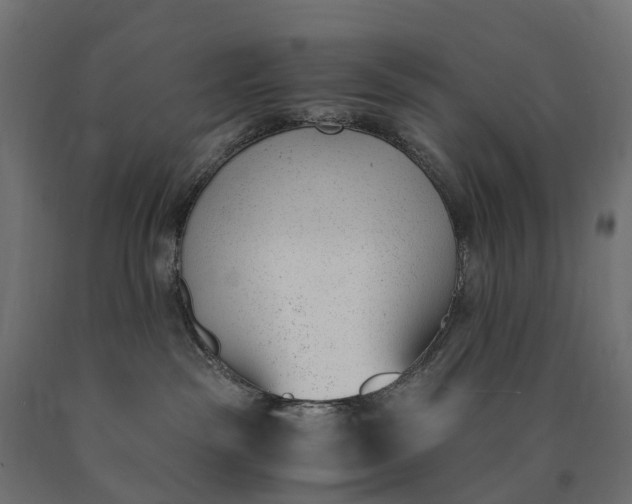 X0000090740189200708031554