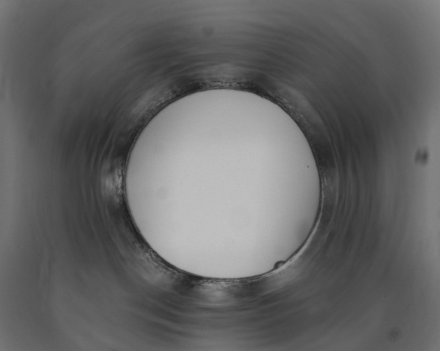 X0000090740190200708031554