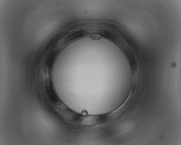 X0000090740191200708031554