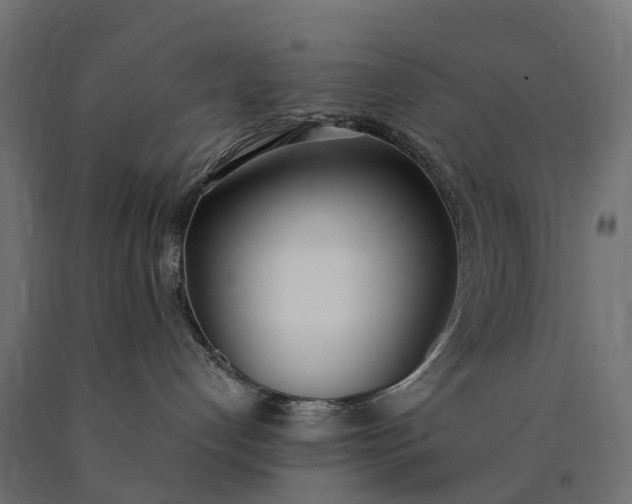 X0000090740192200708031554