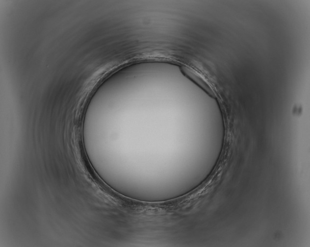 X0000090740193200708031553