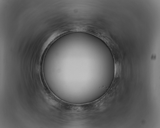 X0000090740195200708031553