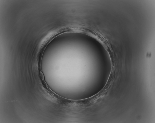 X0000090740197200708031553