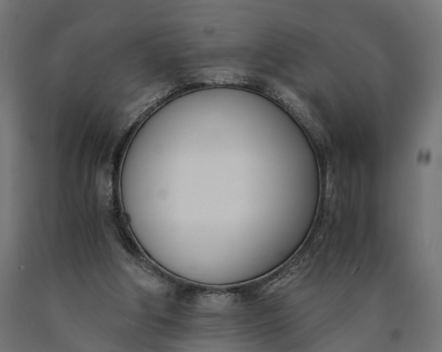 X0000090740202200708031553