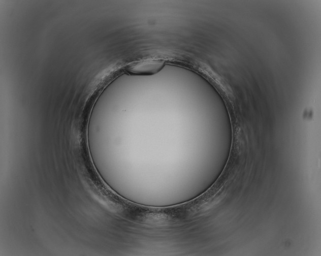 X0000090740203200708031553