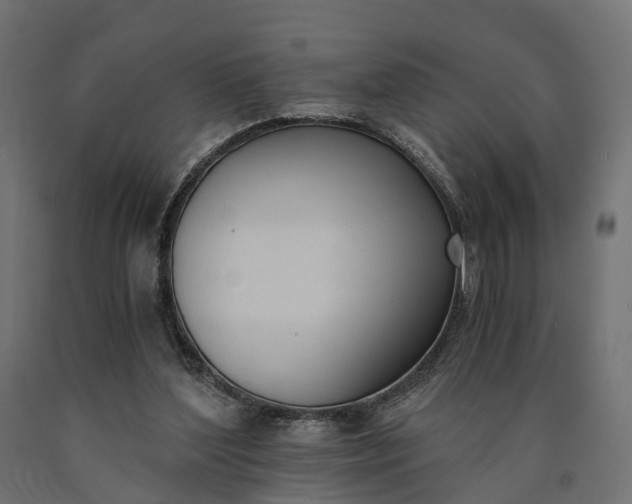 X0000090740204200708031553