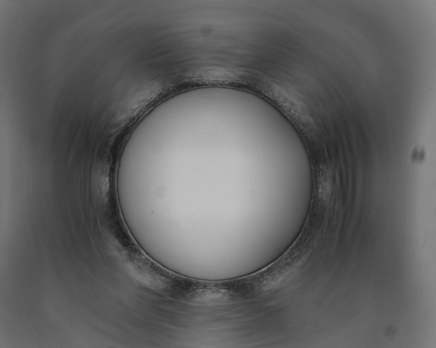 X0000090740206200708031553