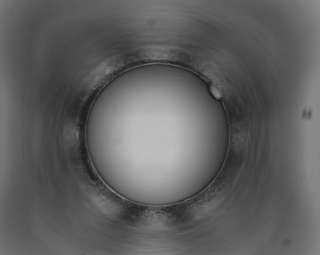 X0000090740207200708031553