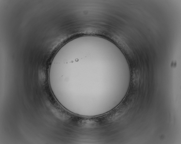 X0000090740208200708031553