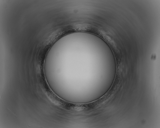 X0000090740209200708031553