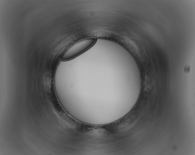 X0000090740210200708031553