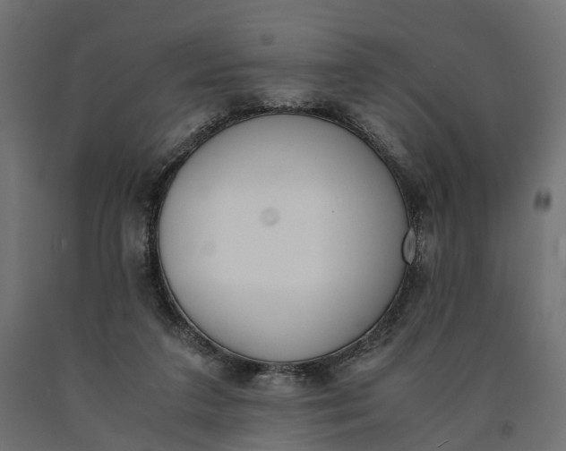 X0000090740211200708031553