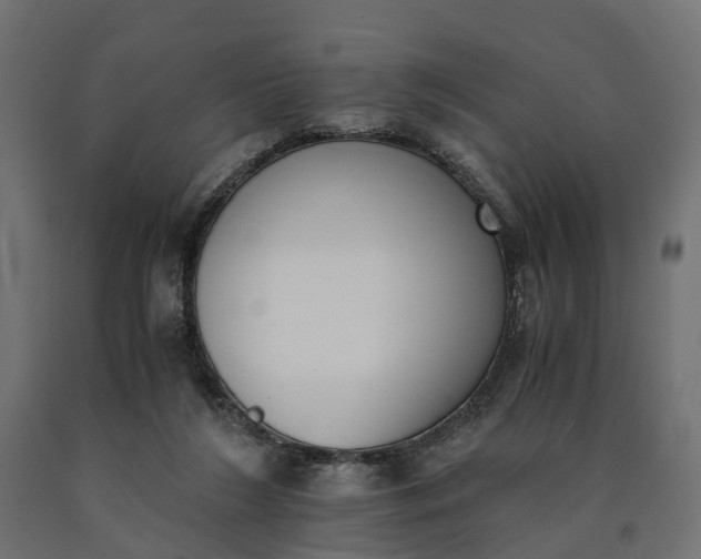 X0000090740212200708031553