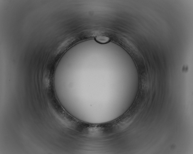 X0000090740216200708031553