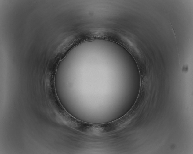 X0000090740217200708031553