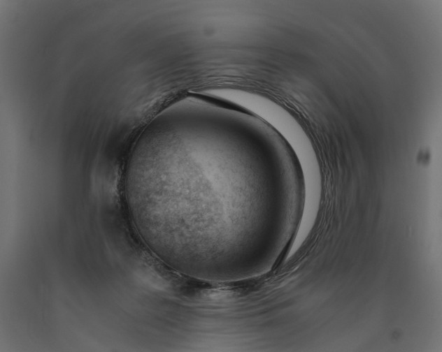 X0000090740219200708031553