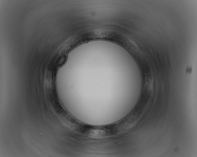 X0000090740220200708031553