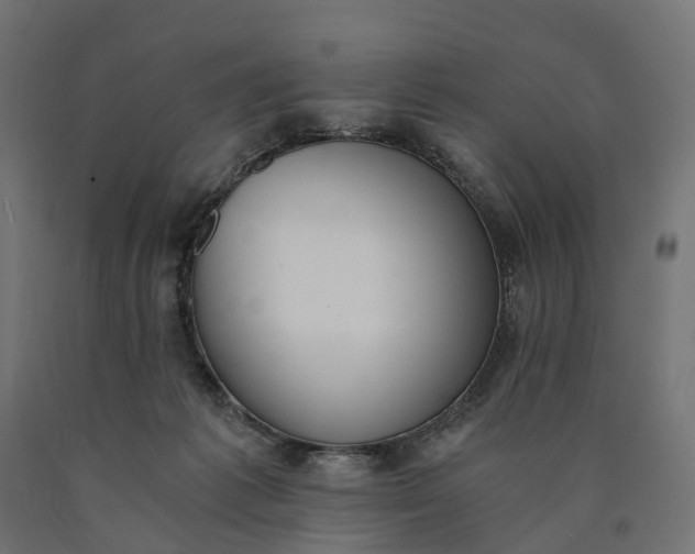 X0000090740221200708031553